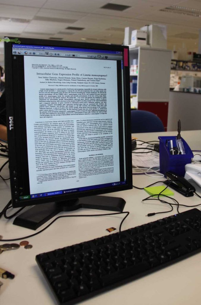 Are Vertical Monitors Good For Reading Benefits And Tips