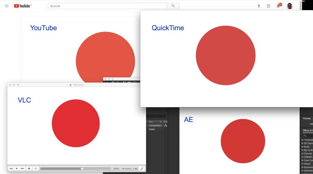 Do Monitors Affect Photo Export Colors For Better Results