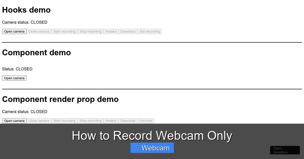 How to Record Webcam Only How to Record Webcam Only