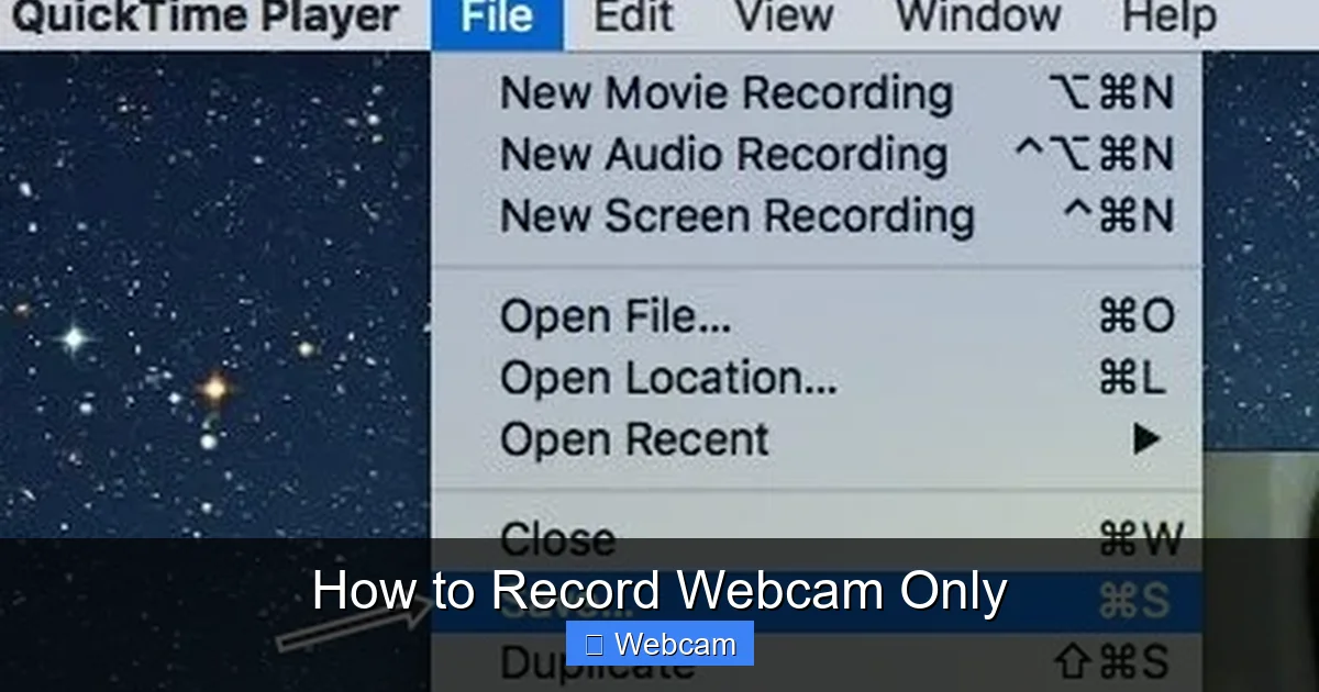 How to Record Webcam Only