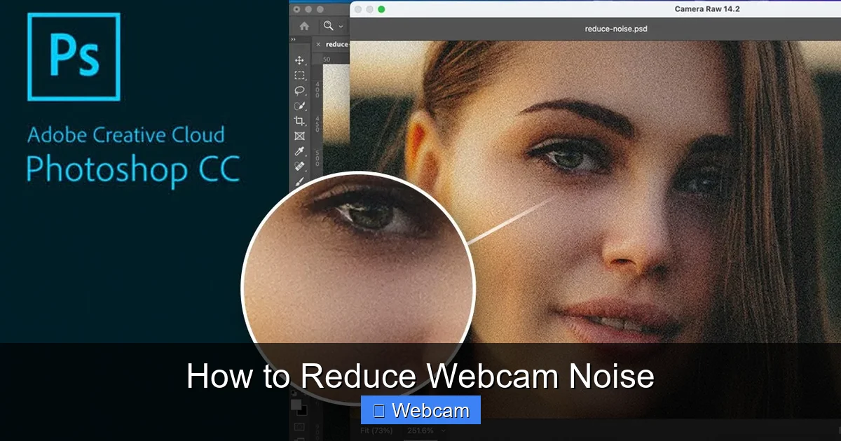How to Reduce Webcam Noise