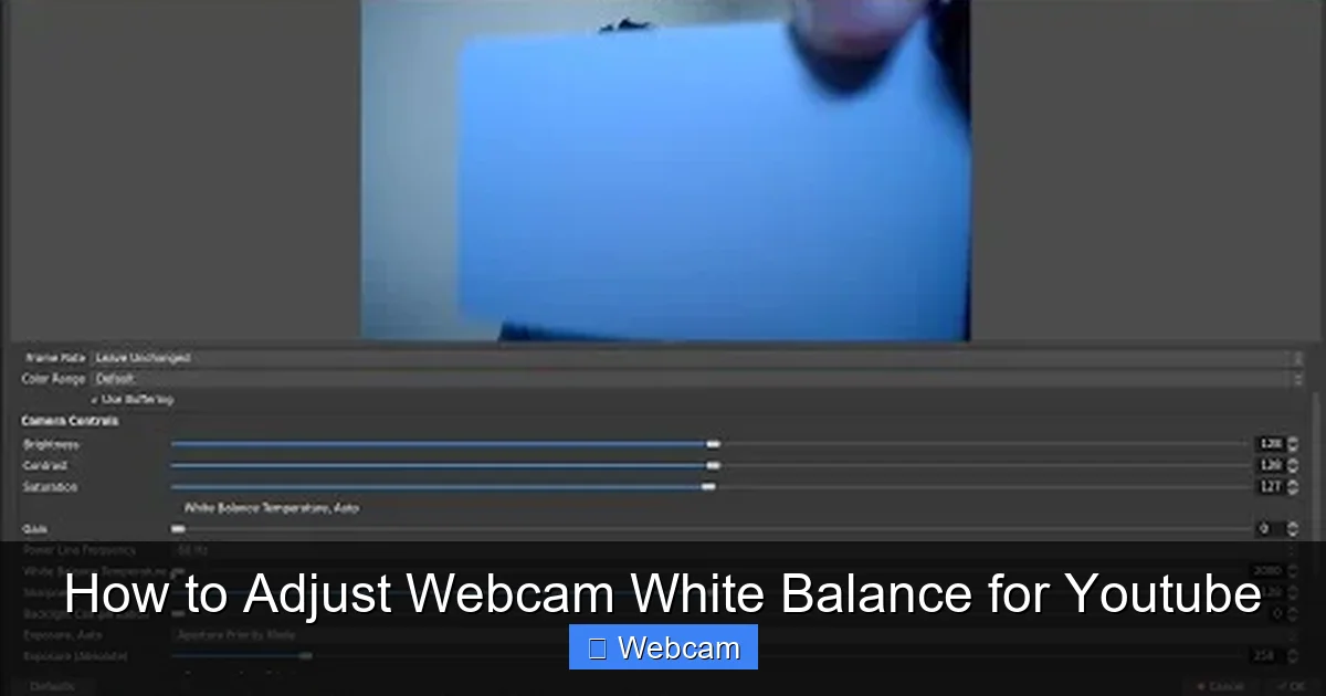 How to Adjust Webcam White Balance for Youtube