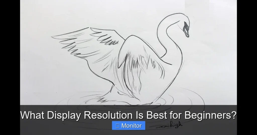 What Display Resolution Is Best for Beginners? What Display Resolution Is Best for Beginners?