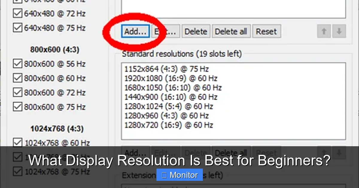 What Display Resolution Is Best for Beginners?