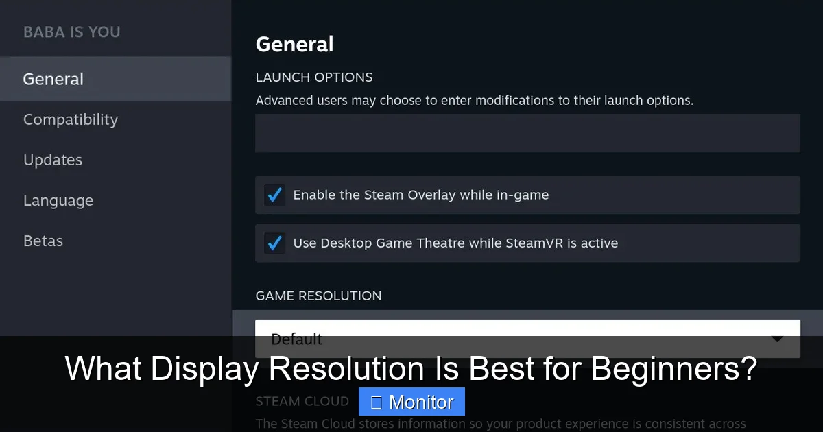 What Display Resolution Is Best for Beginners?