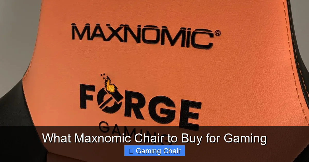 What Maxnomic Chair to Buy for Gaming