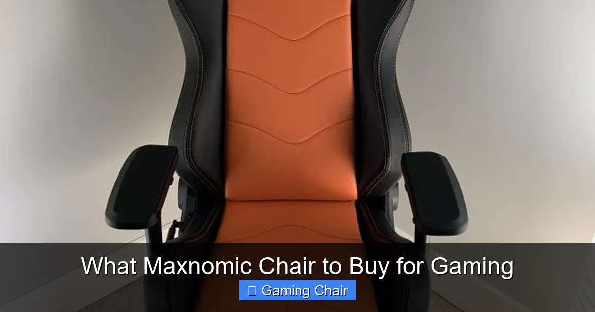 What Maxnomic Chair to Buy for Gaming