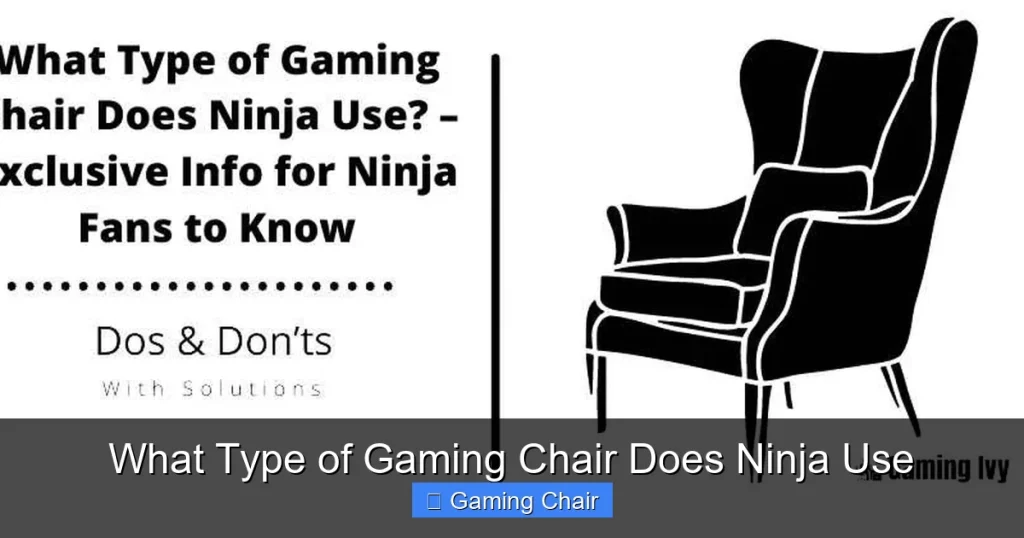What Type of Gaming Chair Does Ninja Use What Type of Gaming Chair Does Ninja Use