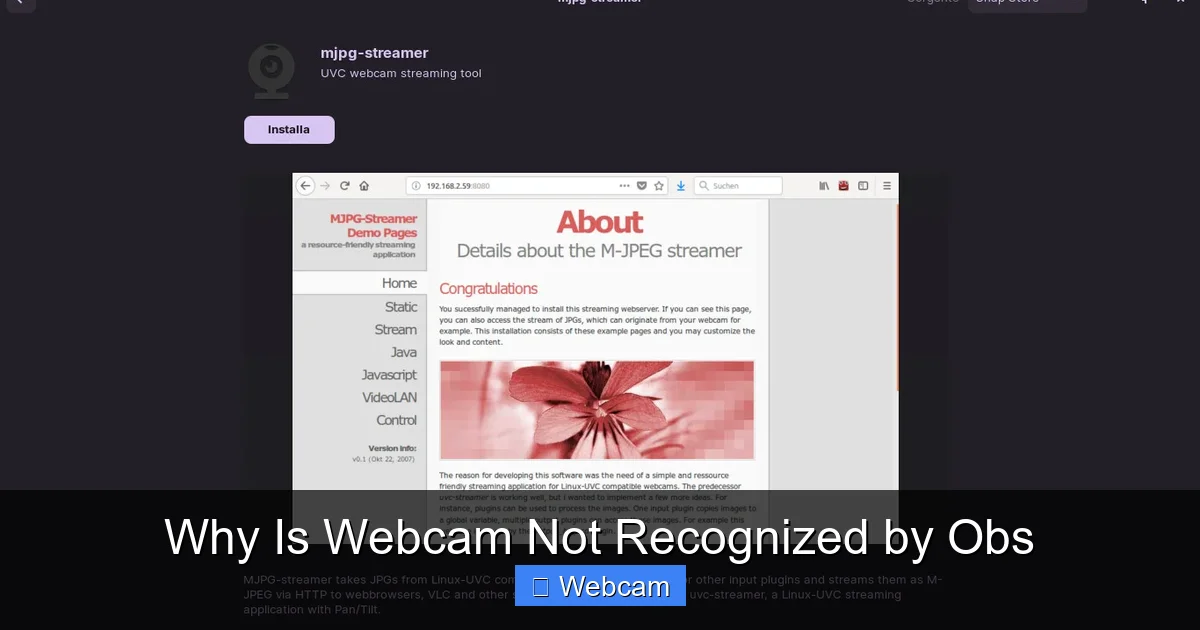 Why Is Webcam Not Recognized by Obs